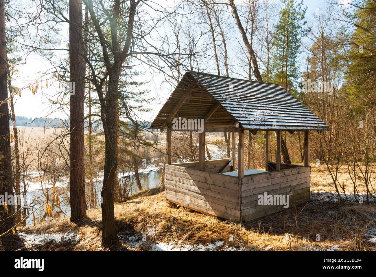 Magnifique paysage de printemps. Arbre en bois sur Coast River sur Hill Sunny Day. Banque D'Images