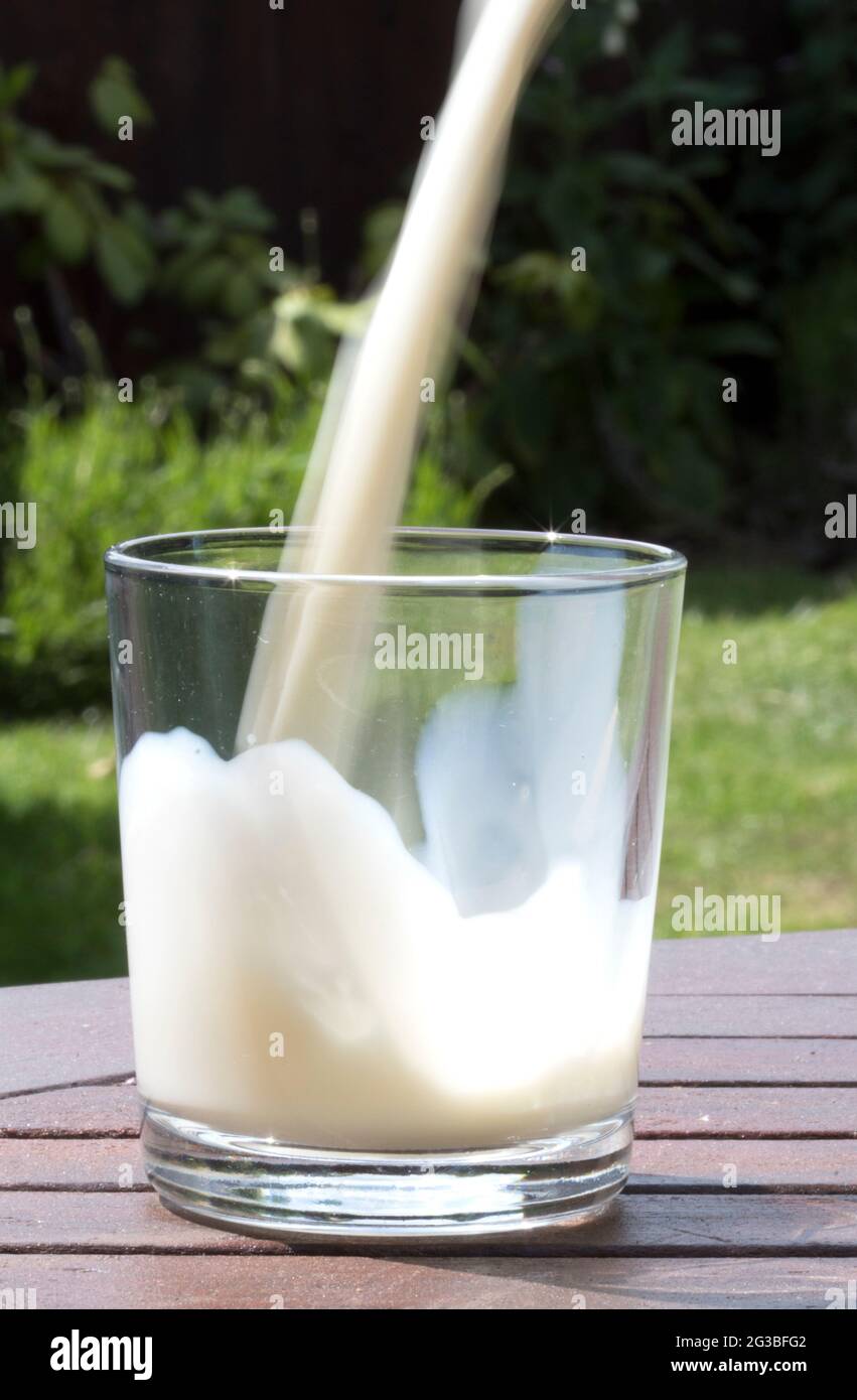 Verser dans un verre de lait Banque D'Images