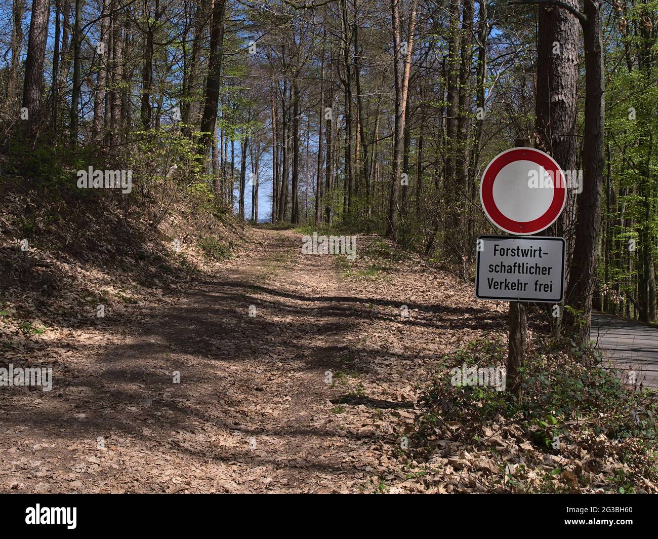 Entrée du chemin forestier couvert par le feuillage avec panneau routier d'interdiction dans la forêt du Palatinat près d'Annweiler am Trifels, en Allemagne, au printemps. Banque D'Images