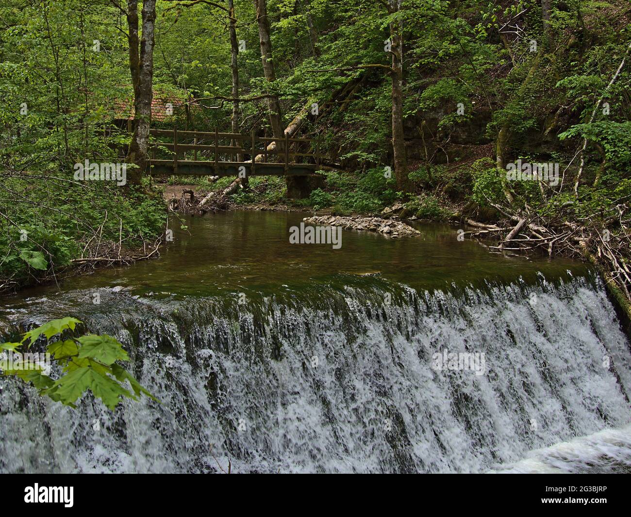 Cascade d'eau de la petite rivière Tränkebach dans une vallée dans le sud de la Forêt Noire près de Löffingen, Allemagne avec passerelle en arrière-plan et forêt dense. Banque D'Images