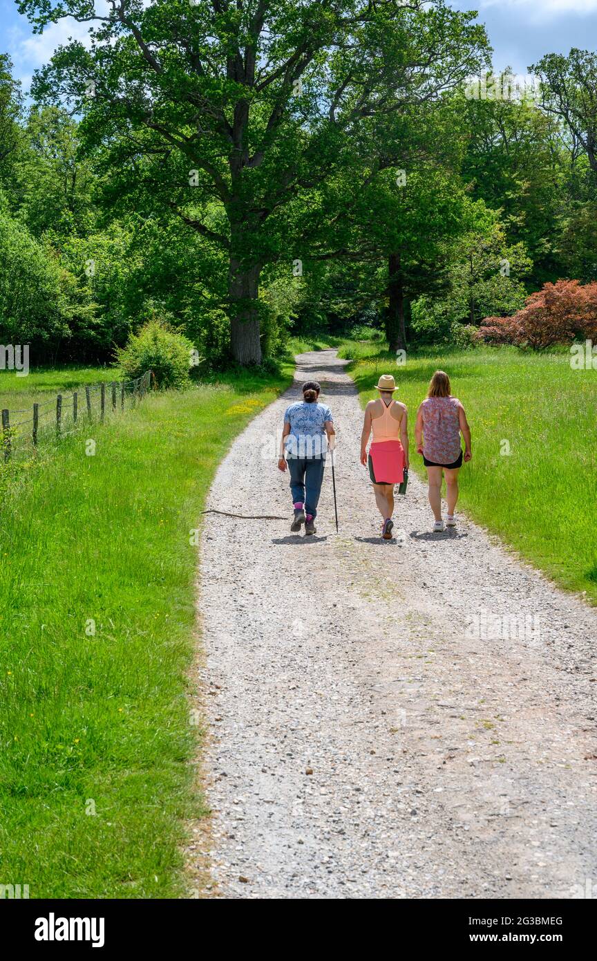 Trois femelles marchent le long d'une piste de gravier dans la campagne entre Plumpton Green et South Chailey dans East Sussex, Angleterre. Banque D'Images