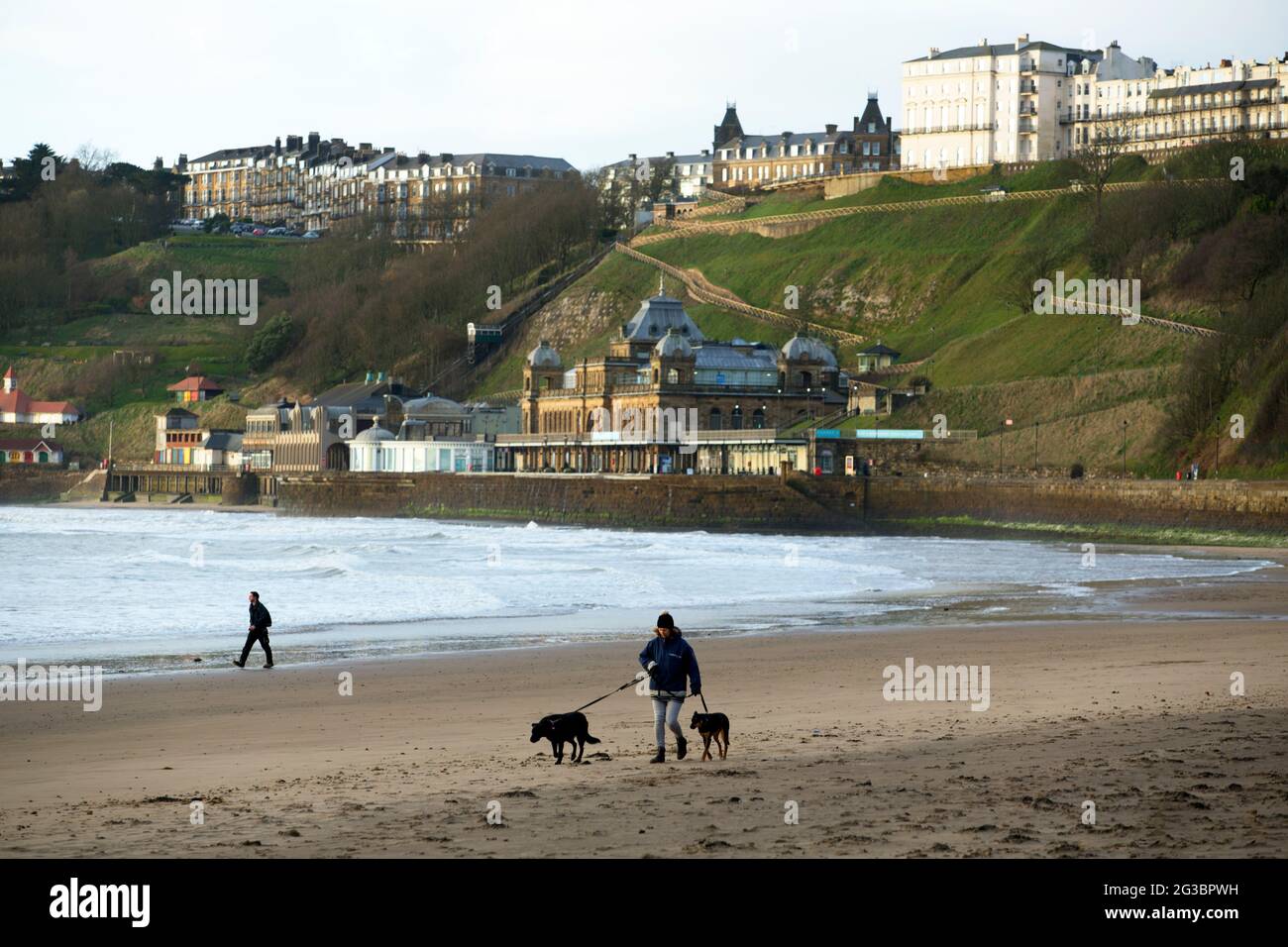 Une femme prend ses chiens lors d'une promenade matinale sur la plage de Scarborough, dans le nord du Yorkshire, alors que l'épidémie de coronavirus s'aggrave dans le Royaume-Uni Banque D'Images