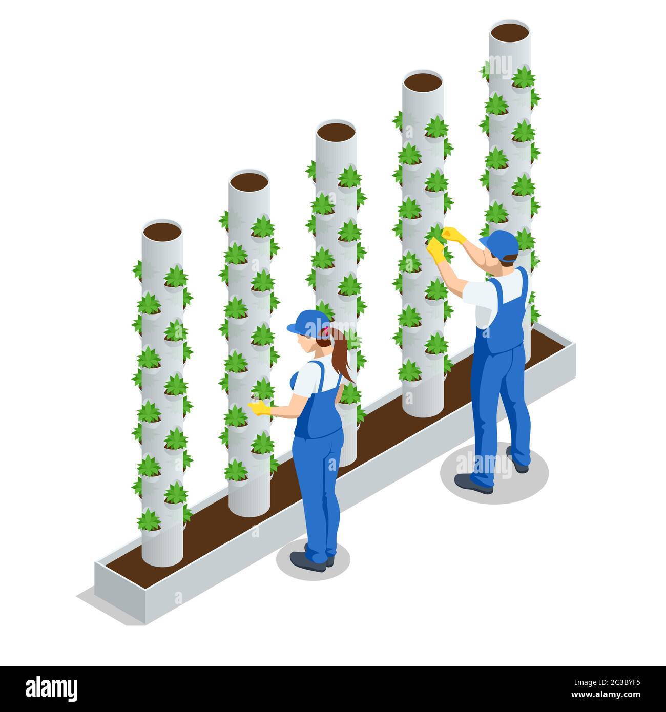 Système hydroponique végétal isométrique, lits modernes de plantes en serre, jardiniers, systèmes hydroponiques et aéroponiques. Agriculture biologique dans Illustration de Vecteur
