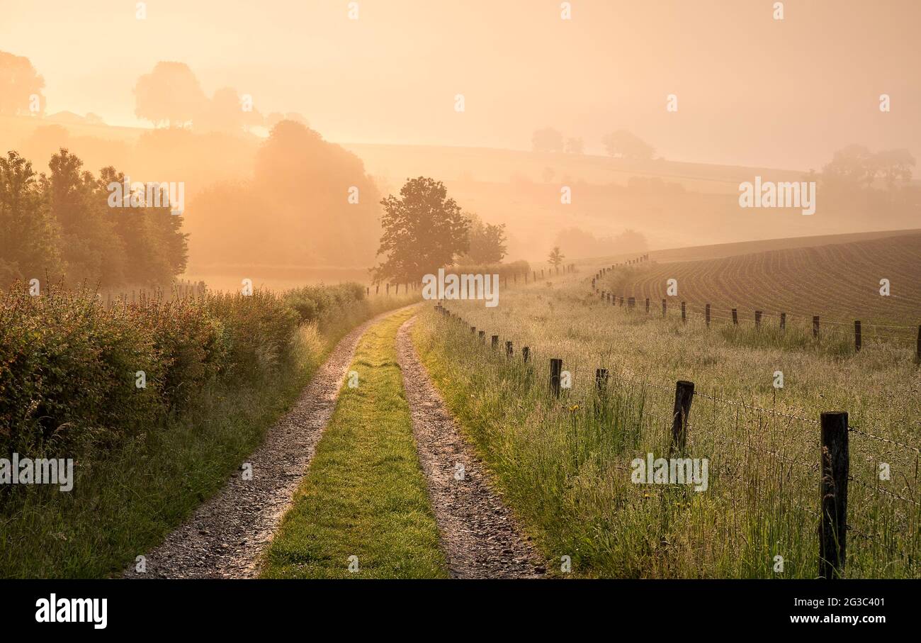 Route de campagne sur les terres agricoles belges au lever du soleil en été Banque D'Images