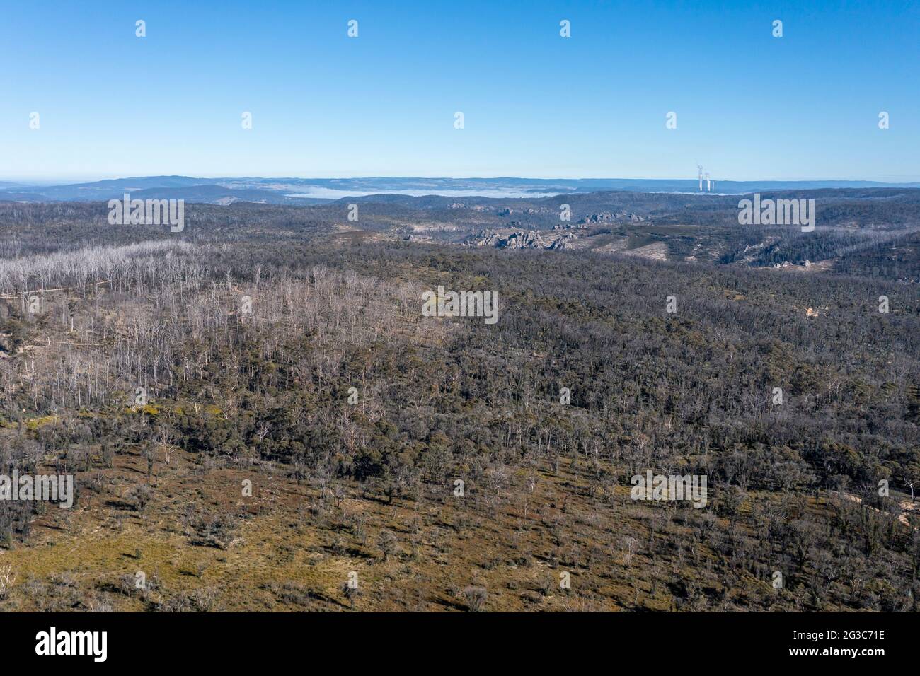 Photographie aérienne par drone de la régénération forestière après les feux de brousse dans les plateaux centraux en Australie régionale Banque D'Images