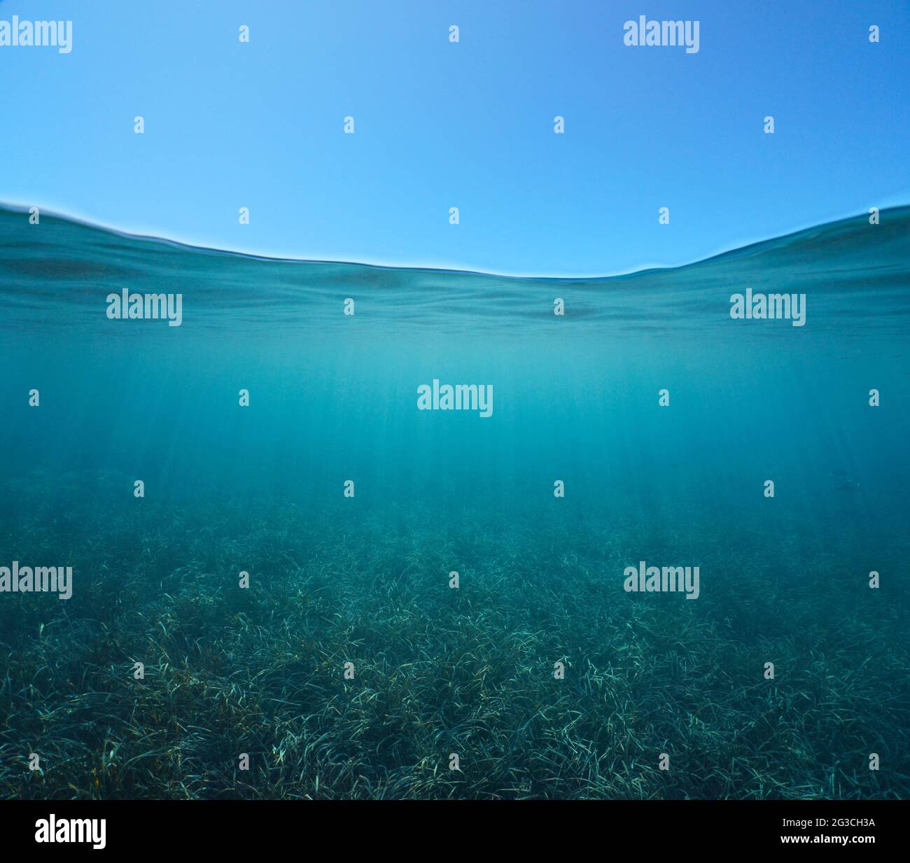 Ciel bleu avec herbe sous l'eau, vue partagée sur et sous la surface de l'eau, mer Méditerranée Banque D'Images