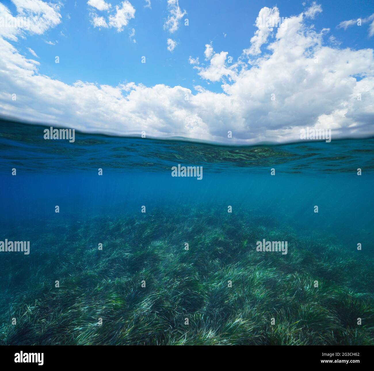 Paysage marin avec herbe sous l'eau et ciel bleu avec nuage, vue partagée sur et sous la surface de l'eau, mer Méditerranée Banque D'Images