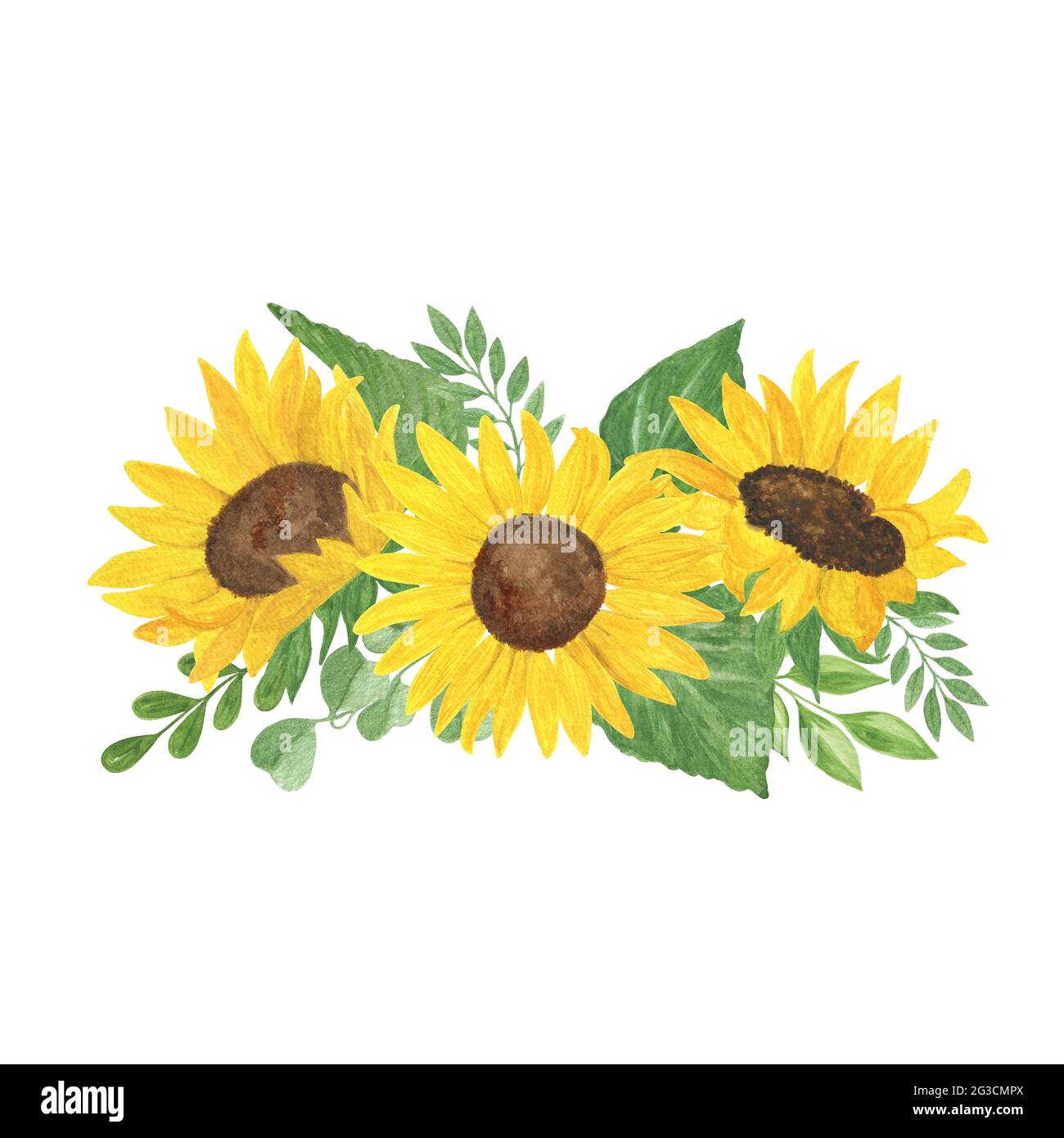 Composition florale, tournesol, illustration de l'aquarelle des feuilles, bouquet d'été de plantes agricoles de terrain, fleur, branches, pour carte de voeux, boho deco Banque D'Images