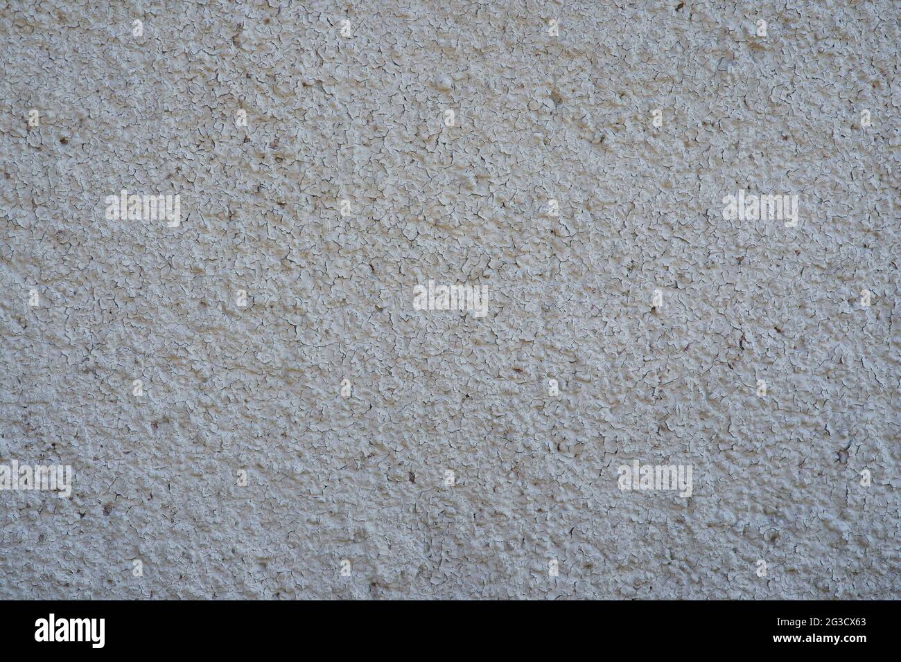 Mur gris avec petites fissures Banque D'Images