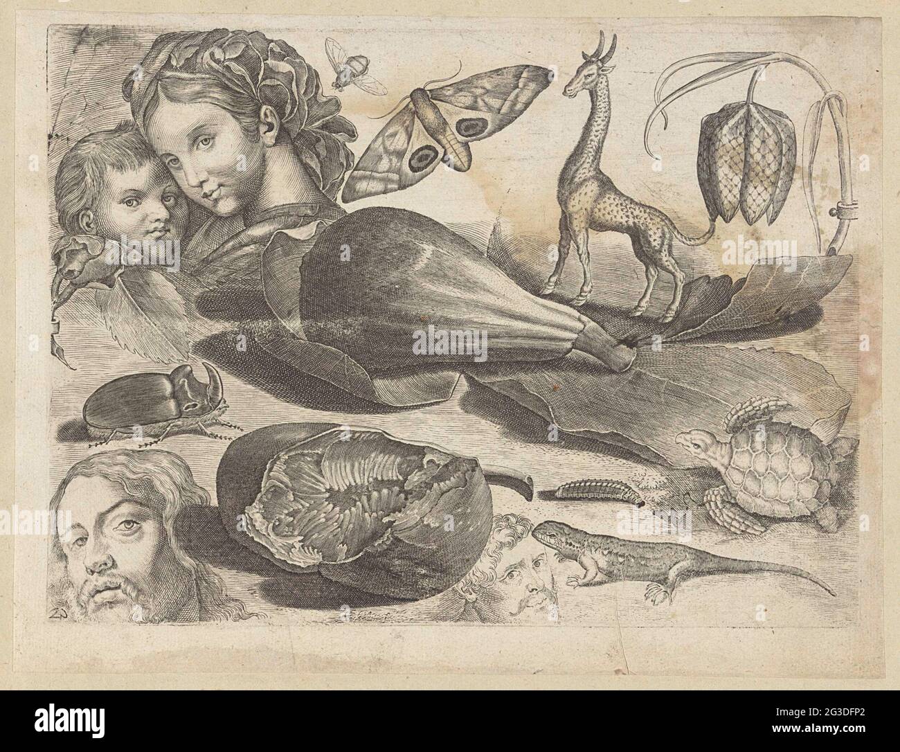 Feuille d'étude avec exemples de dessin : têtes, animaux et fruits; exemples de dessin. Vingtième impression à partir d'une série d'exemples de dessin de taille inconnue. Feuille d'étude avec fruits, animaux et têtes. Au milieu d'une figure sur la feuille associée, il y a une figure à coupe ouverte. Des deux côtés des animaux : un bâton de rhinocéros, une chenille, un lézard et une tortue de mer. En dessous de deux tasses. Au-dessus de gauche une Madonna avec le Christ enfant (à Rafael). En haut à droite une fleur de lapwing, à côté d'elle une girafe. Au milieu un insecte et un papillon de queue d'oeil de paon. Banque D'Images