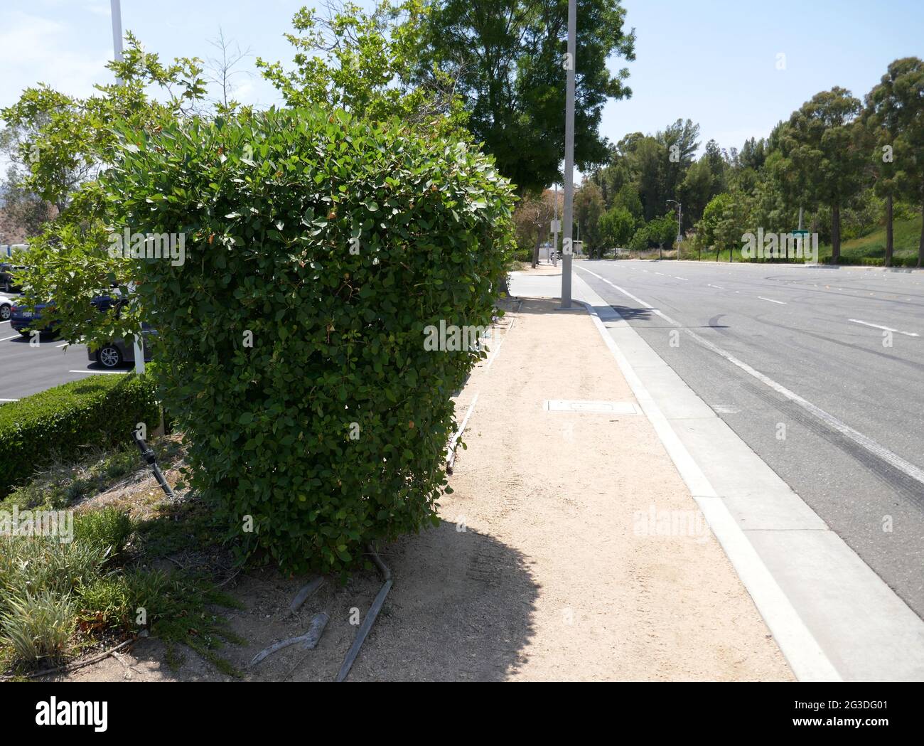 Valence, Californie, États-Unis 15 juin 2021 UNE vue générale de l'atmosphère de l'acteur Paul Walker accident de voiture fatale lieu au 28385 Constellation Road où Roger Rodas conduisait avec Paul Walker le 30 novembre 2013 et ils se sont écrasé ici à Valence, Californie, États-Unis. Photo par Barry King/Alay stock photo Banque D'Images