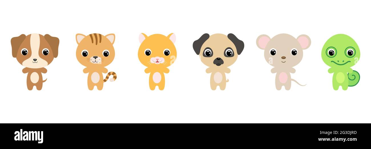 Jolis Petits Animaux De Style Dessin Anime Collection Animaux Personnages Pour Enfants Cartes Douche De Bebe Invitation D Anniversaire Interieur De Maison Chi Aux Couleurs Vives Image Vectorielle Stock Alamy