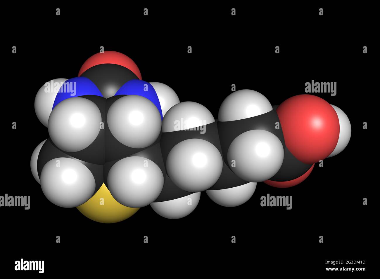 La molécule de biotine 3D de vitamine B7 rend la structure chimique Banque D'Images