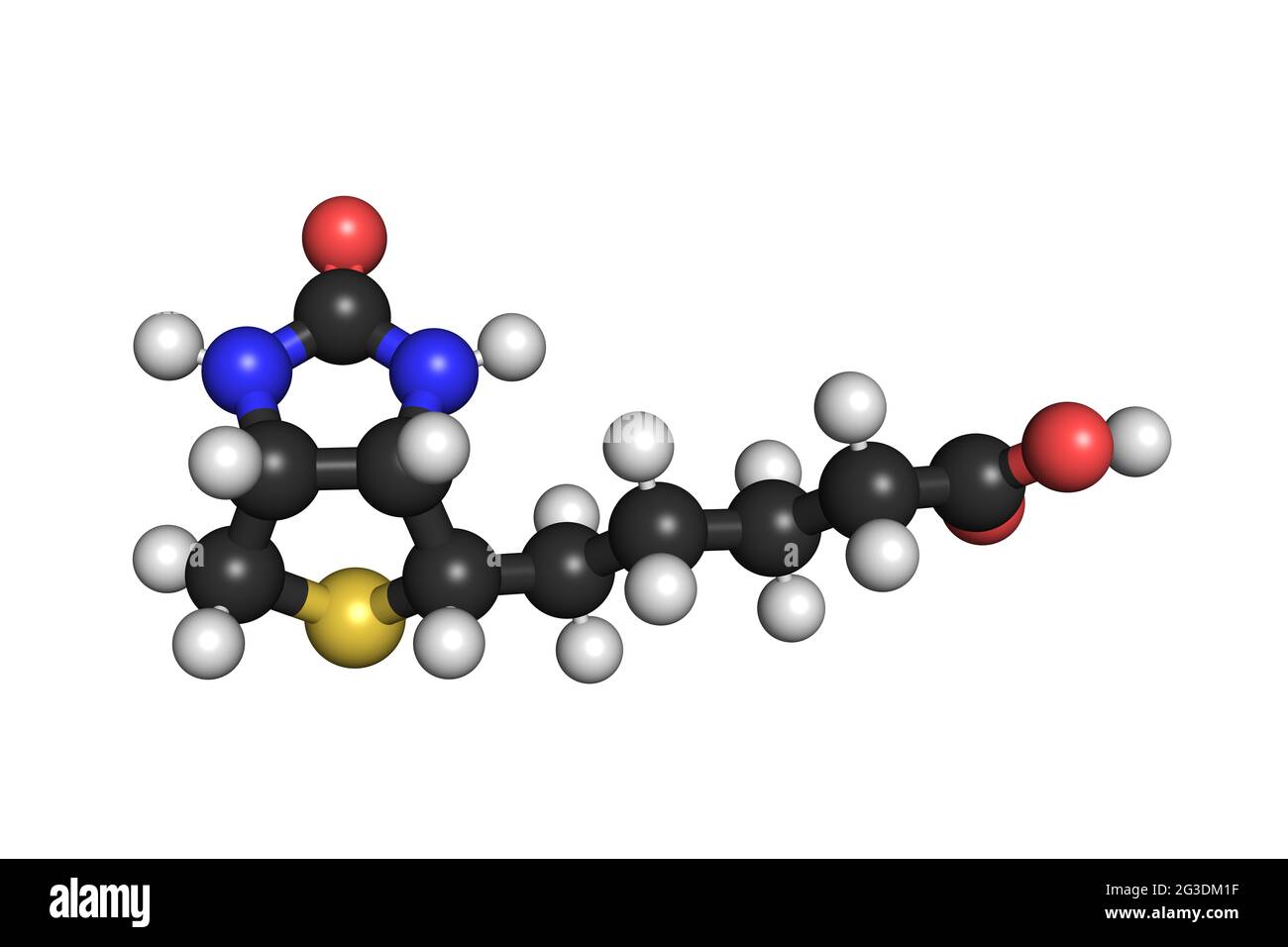 La molécule de biotine 3D de vitamine B7 rend la structure chimique Banque D'Images