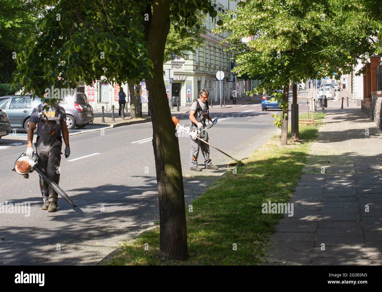 Nettoyage de rue, hommes fauchant de l'herbe dans la rue, et soufflant des feuilles avec un souffleur à gaz. Gniezno, Pologne. Banque D'Images