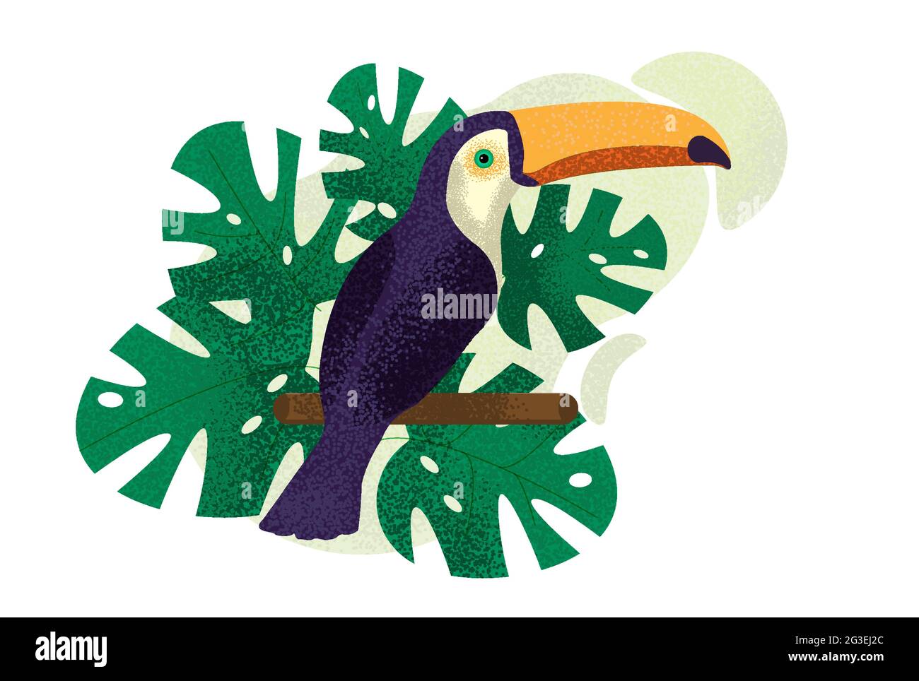 Toucan Bird of Paradise composition avec bruits Illustration de Vecteur