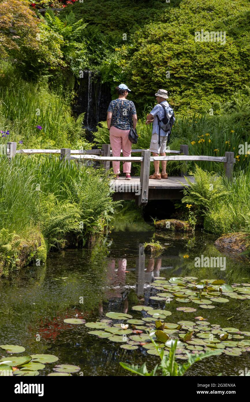 Deux visiteurs admirent la chute d'eau à Wakehurst place, dans le Sussex Banque D'Images