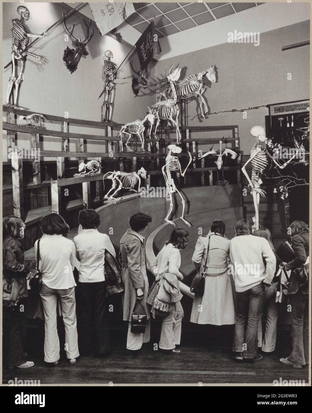 Reconstruit theatrum anatomicum avec des visiteurs y assemblés; exposition de l'Université de Leiden 400.. Banque D'Images