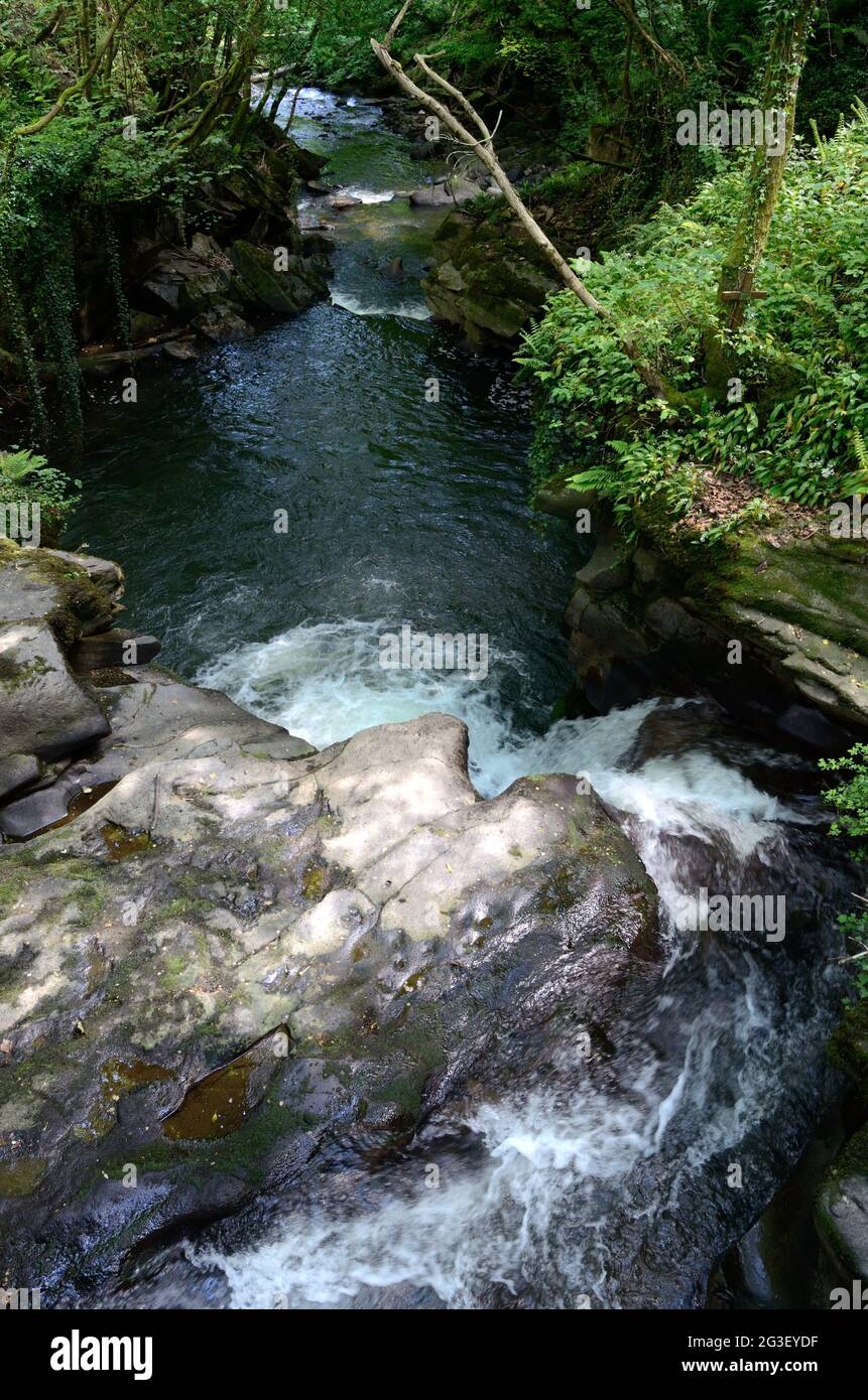 Rivière Clydach traversant la gorge de Clydach au parc national Gilwern Brecon Beacons Monbucshire Wales UK Banque D'Images