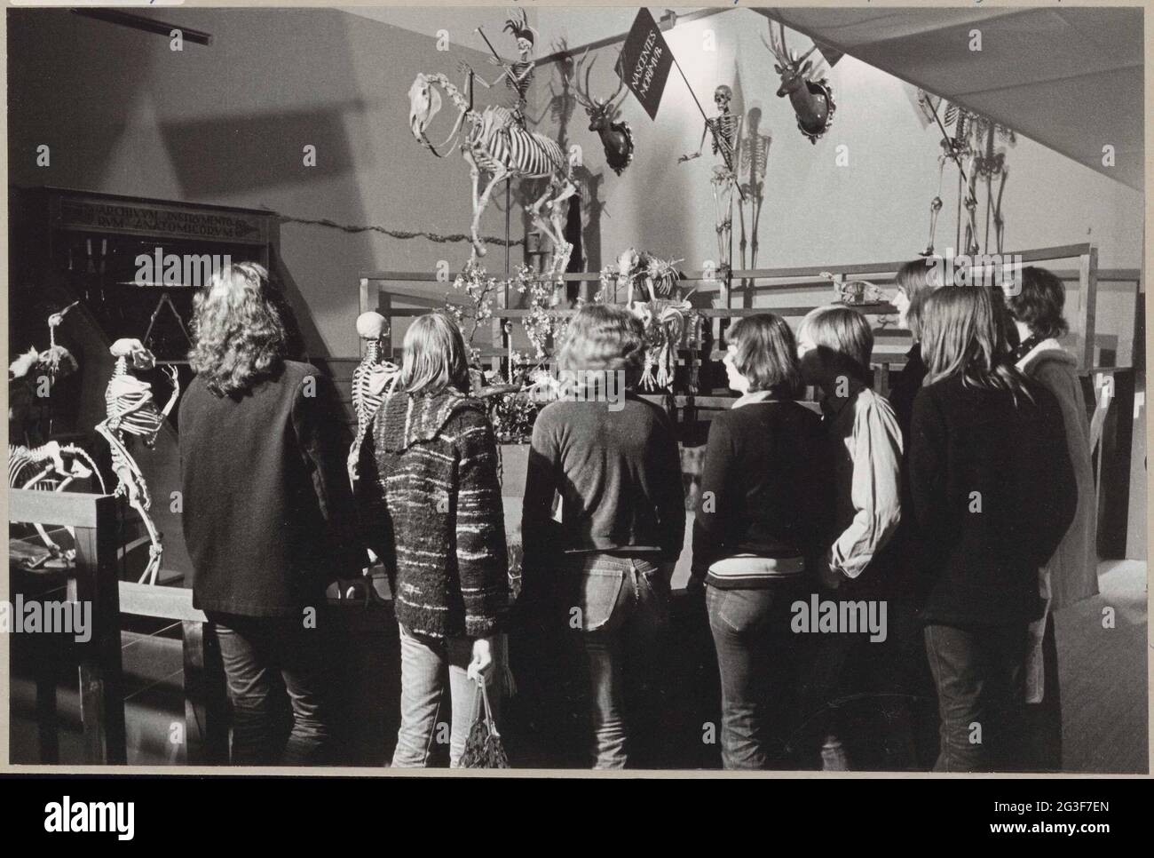 Les visiteurs voient des squelettes de personnes et d'animaux dans l'anatomicum reconstruit theatrum ; exposition de l'Université de Leiden 400. Banque D'Images