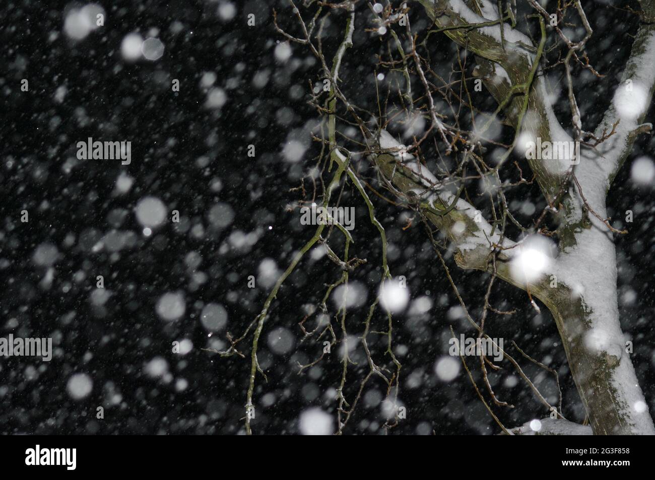 Les flocons de neige Banque D'Images