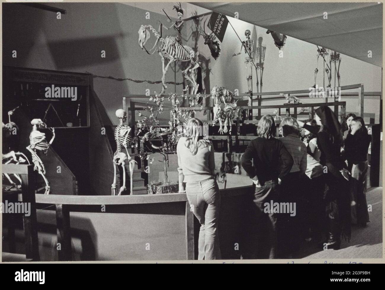 Les visiteurs voient des squelettes de personnes et d'animaux dans l'anatomicum reconstruit theatrum ; exposition de l'Université de Leiden 400. Banque D'Images