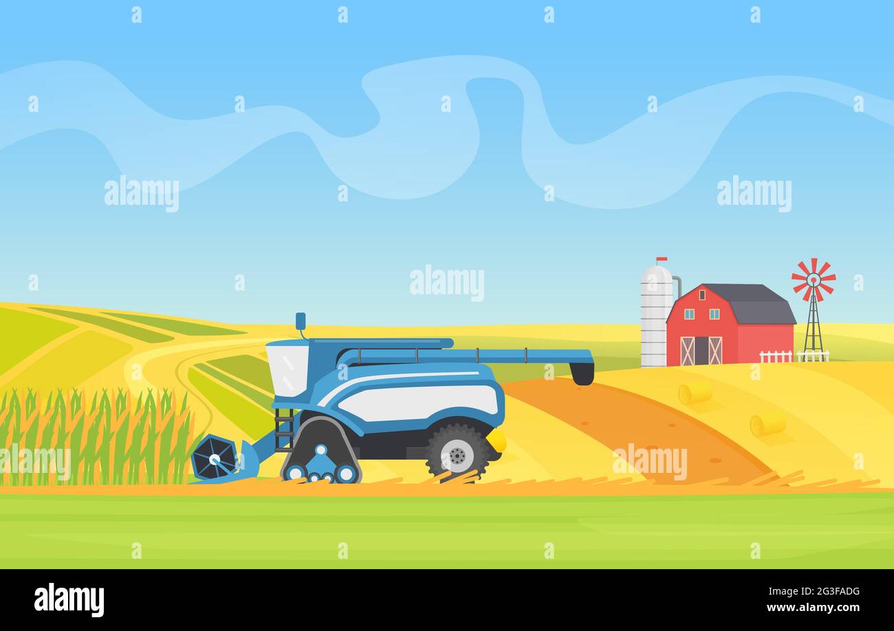 Illustration vectorielle de la moissonneuse-batteuse de récolte de maïs travaillant dans les champs agricoles. Caricature campagne agro-technologie naturelle d'agriculture, équipement de récolte cultures céréalières arrière-plan Illustration de Vecteur