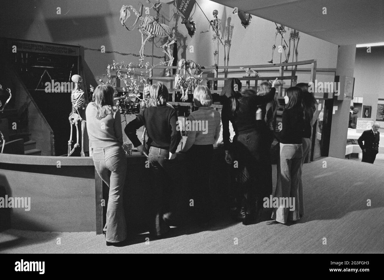 Les visiteurs voient des squelettes de personnes et d'animaux dans l'anatomicum reconstruit theatrum ; exposition de l'Université de Leiden 400. Banque D'Images