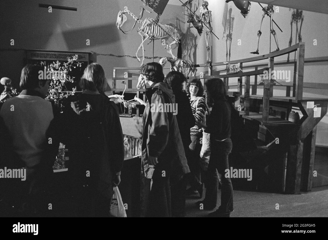 Les visiteurs voient des squelettes de personnes et d'animaux dans l'anatomicum reconstruit theatrum ; exposition de l'Université de Leiden 400. Banque D'Images