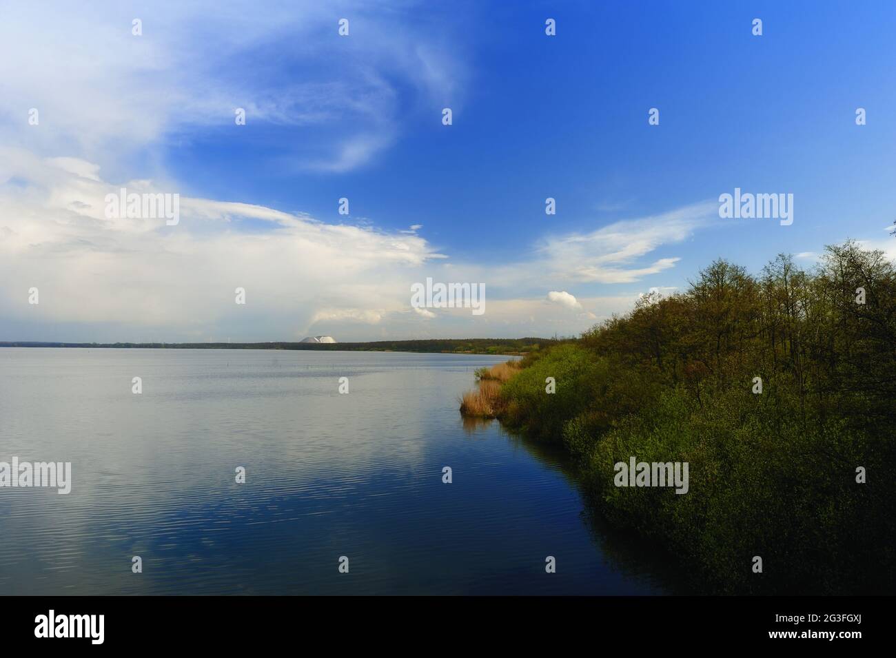 Vogelbiotop am Steinhuder Meer Banque D'Images