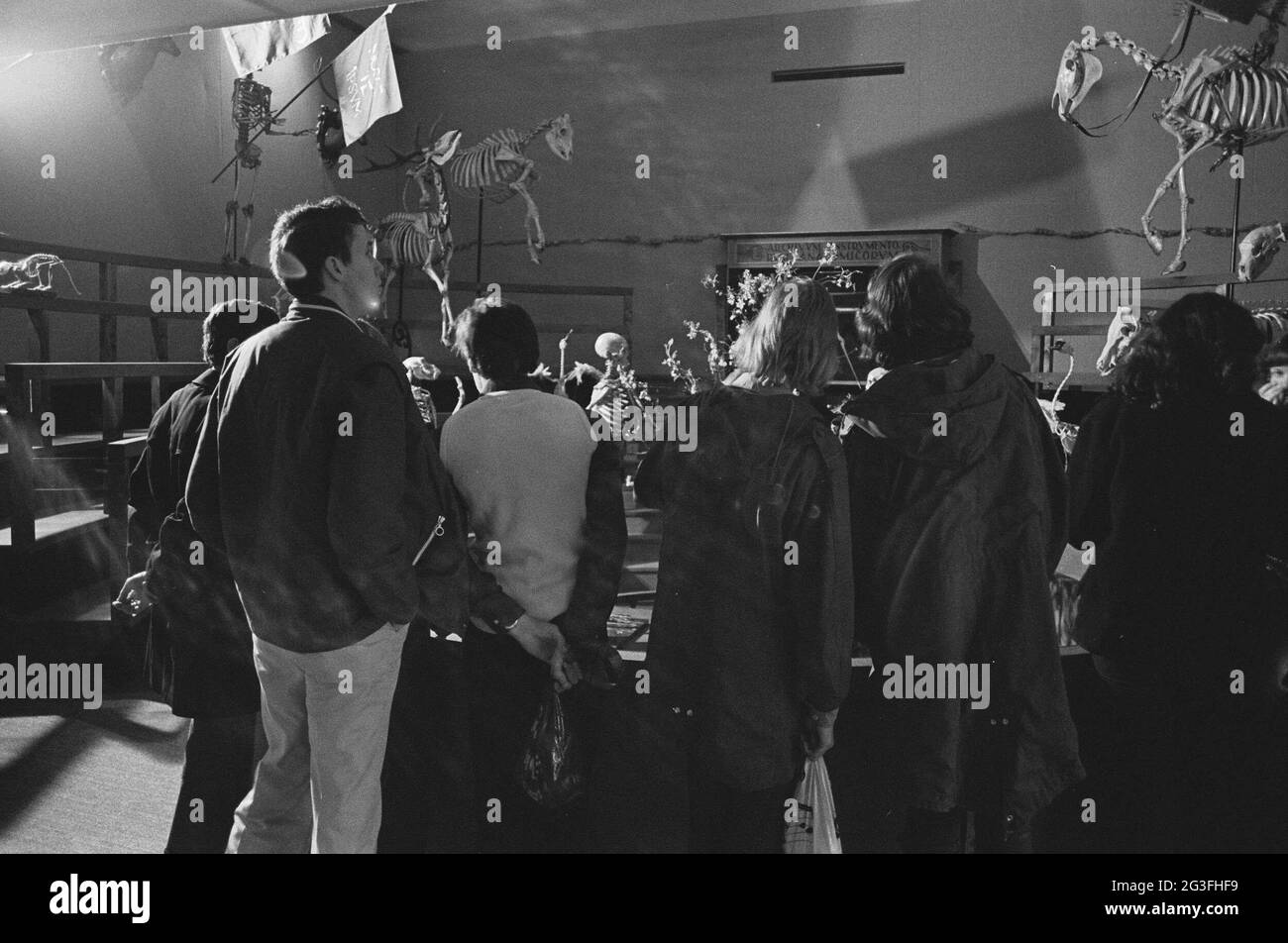 Les visiteurs voient des squelettes de personnes et d'animaux dans l'anatomicum reconstruit theatrum ; exposition de l'Université de Leiden 400. Banque D'Images