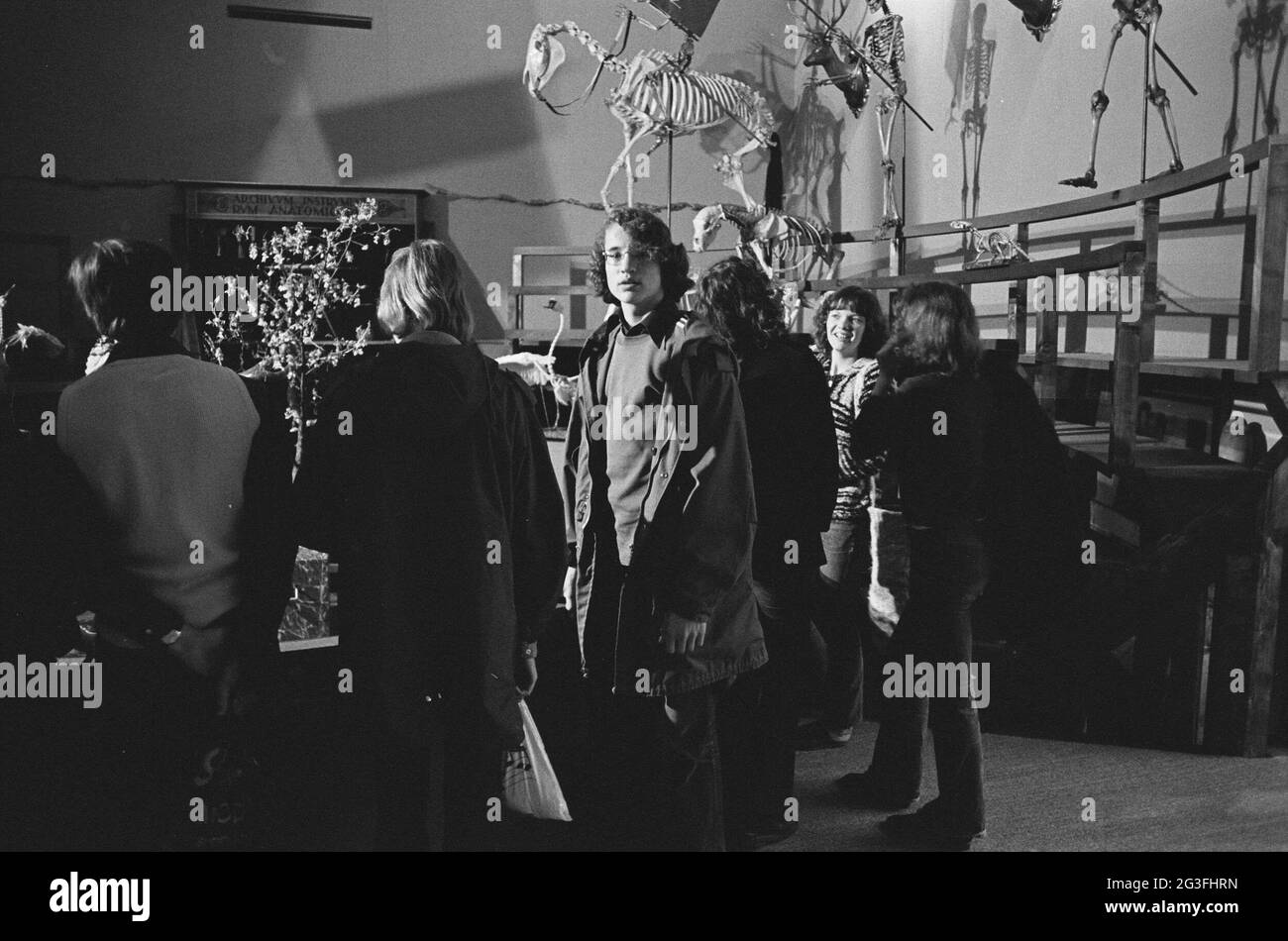 Les visiteurs voient des squelettes de personnes et d'animaux dans l'anatomicum reconstruit theatrum ; exposition de l'Université de Leiden 400. Banque D'Images