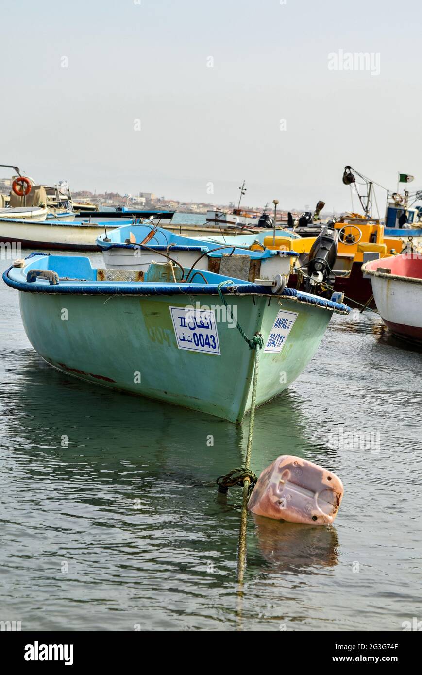 Bateaux de pêche dans un vieux port d'Alger, Algérie. Banque D'Images