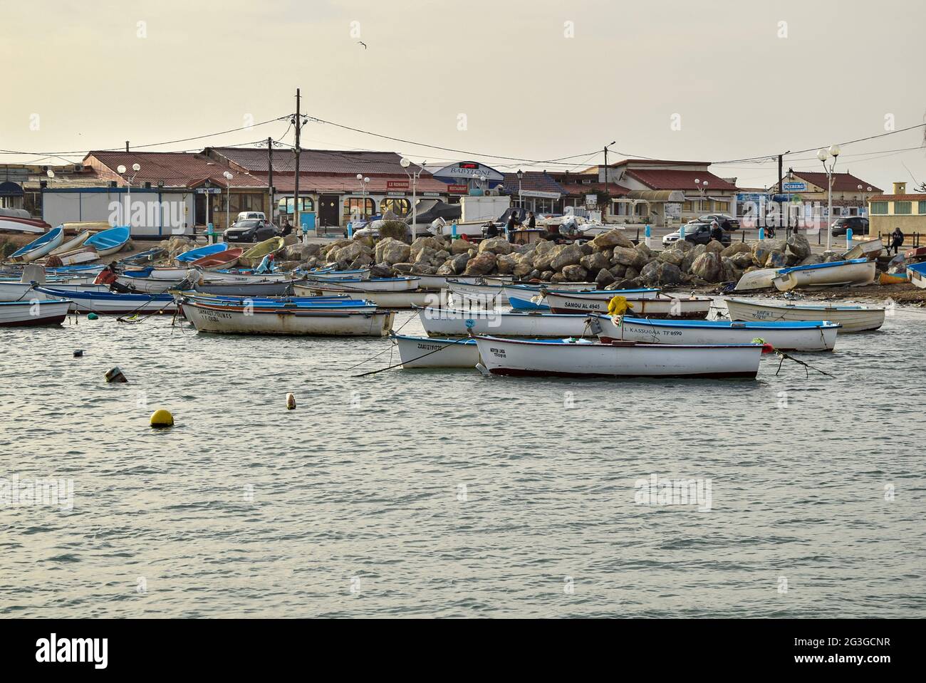 Bateaux de pêche dans un vieux port d'Alger, Algérie. Banque D'Images