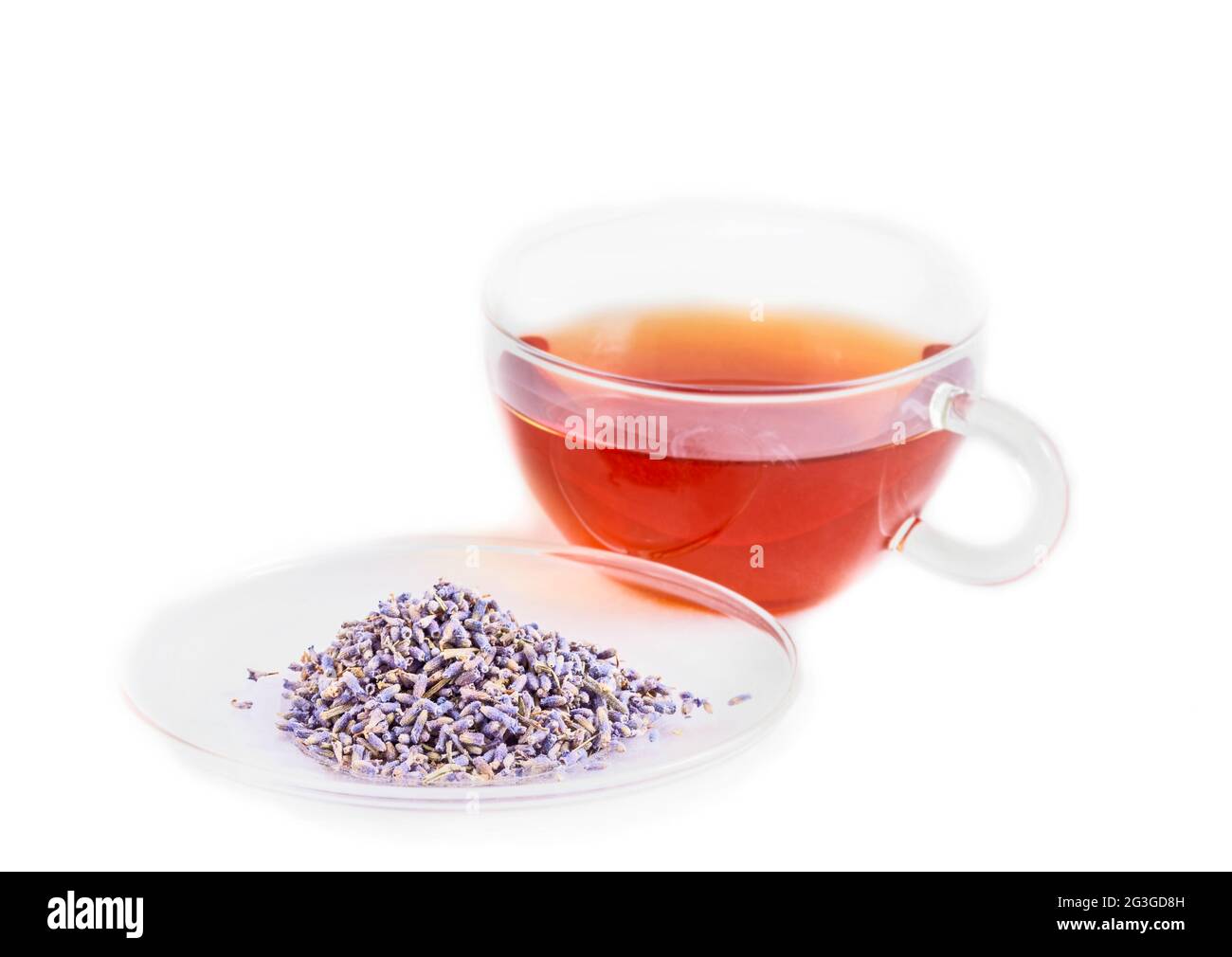 Véritable incroyable thé de lavande isolé sur blanc dans une jolie tasse de verre Banque D'Images