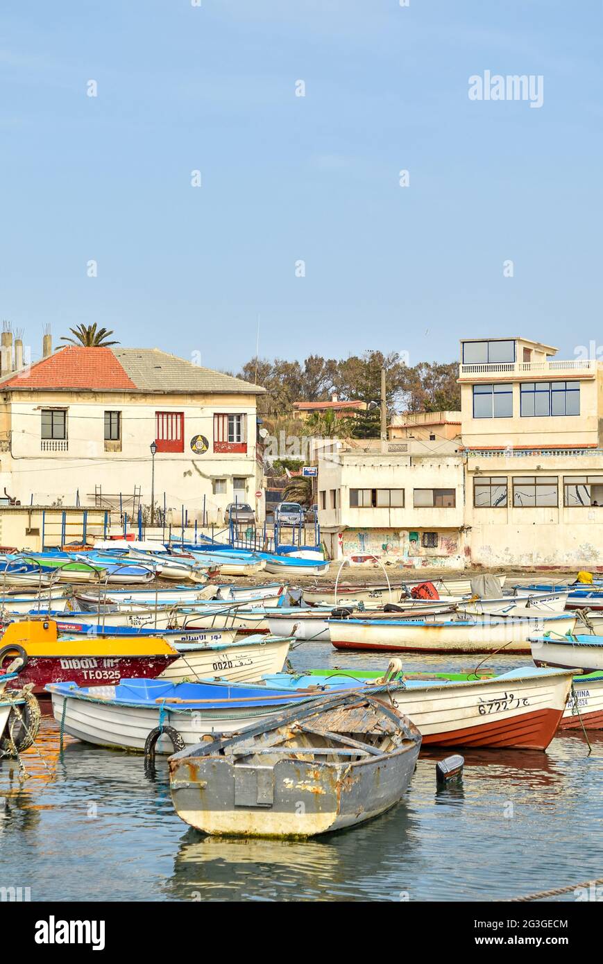 Bateaux de pêche dans un vieux port d'Alger, Algérie. Banque D'Images