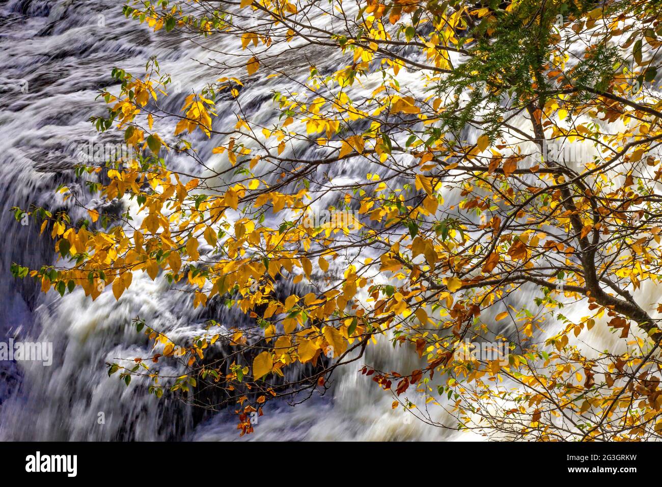 Les chutes Shohola le long de Shohola Creek, dans les montagnes Pocono de Pennsylvanie, ont de nombreuses cascades avant de tomber les 50 derniers mètres dans la piscine principale. Banque D'Images