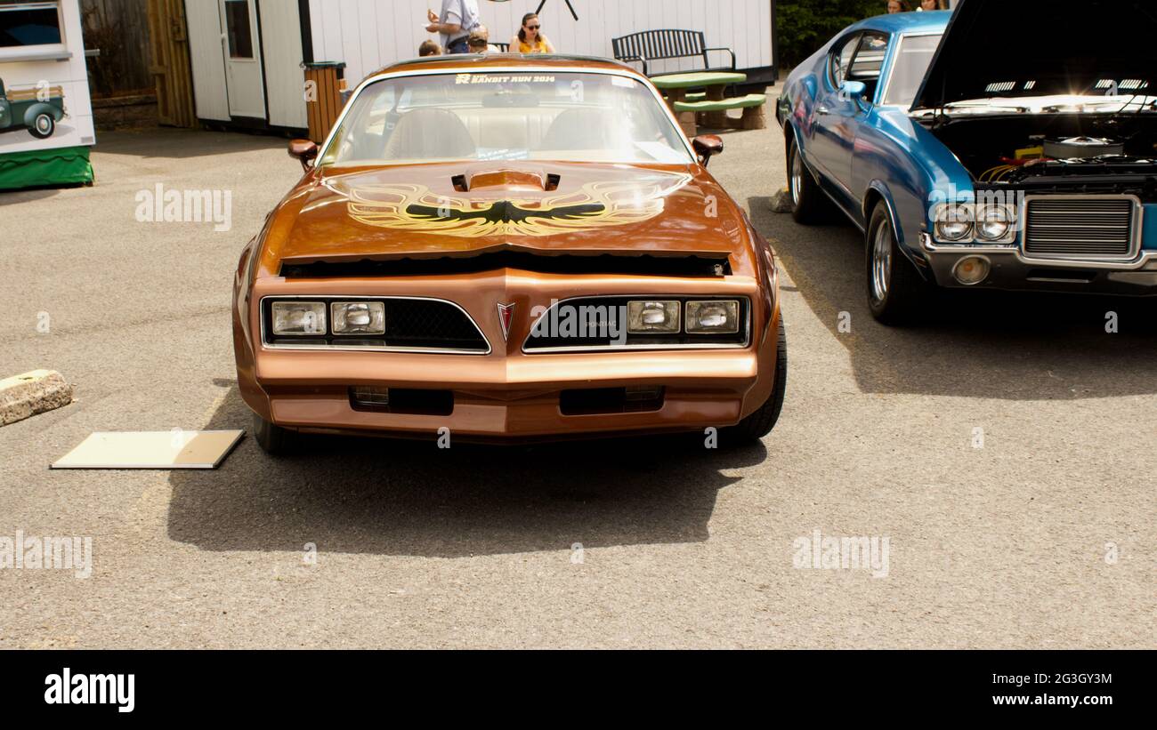 Vue avant d'un Firebird de Pontiac Banque D'Images