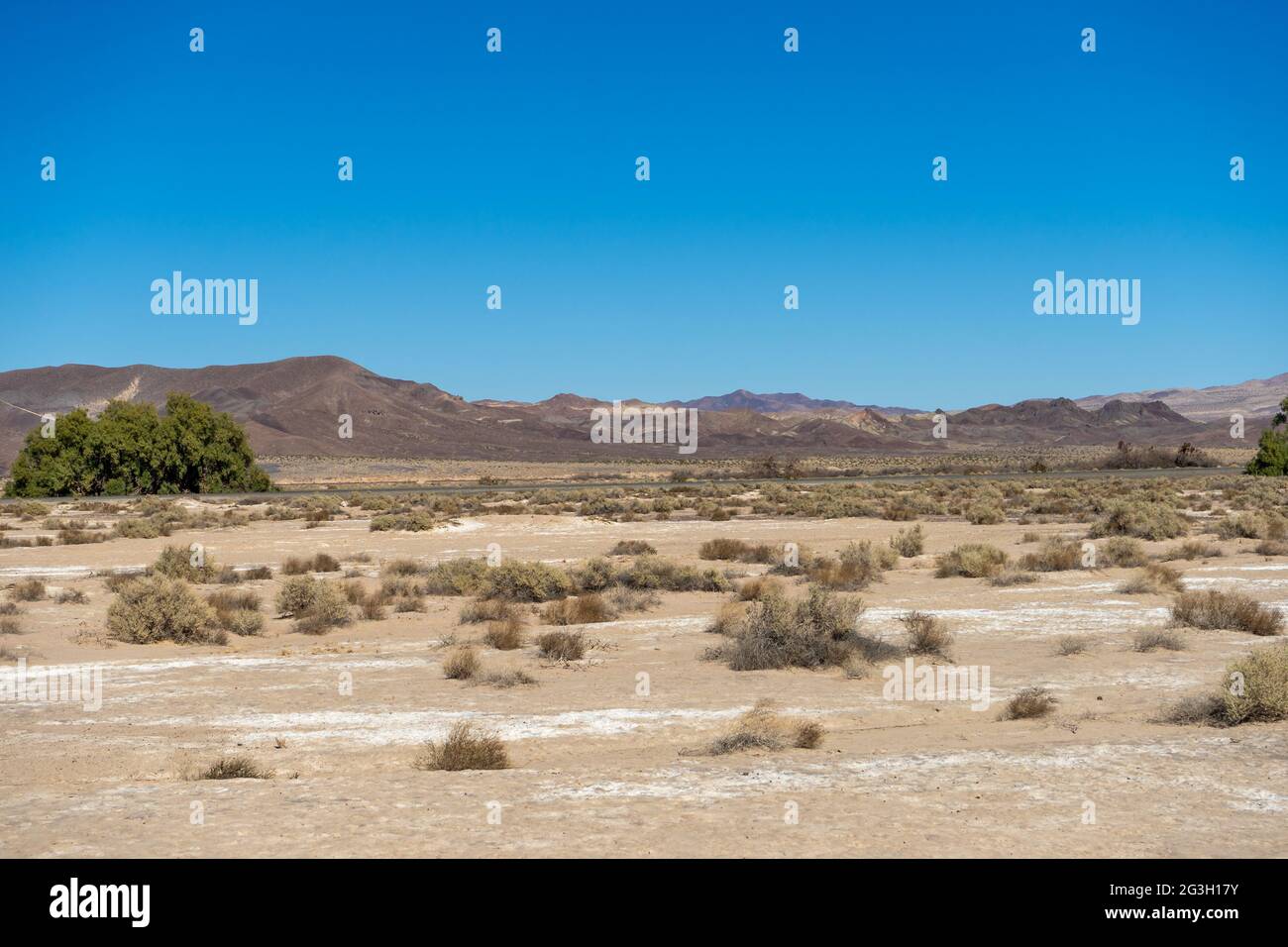 Vue panoramique sur le désert de Mojave avec terres ouvertes et montagnes Banque D'Images