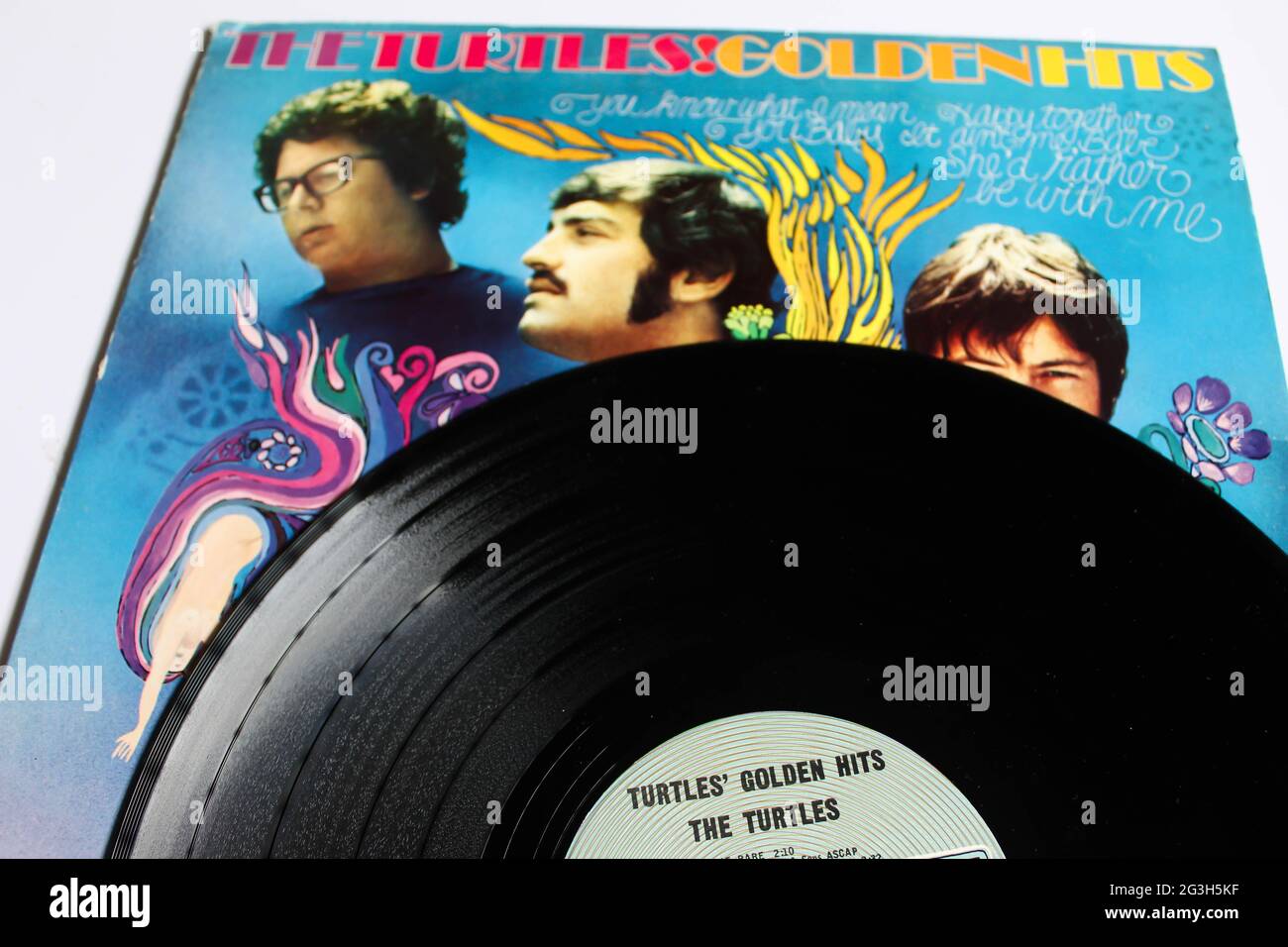 Pop rock and Sunshine pop band, The Turtles Music album on vinyle record LP disc. Intitulé : couverture de l'album Golden Hits Banque D'Images