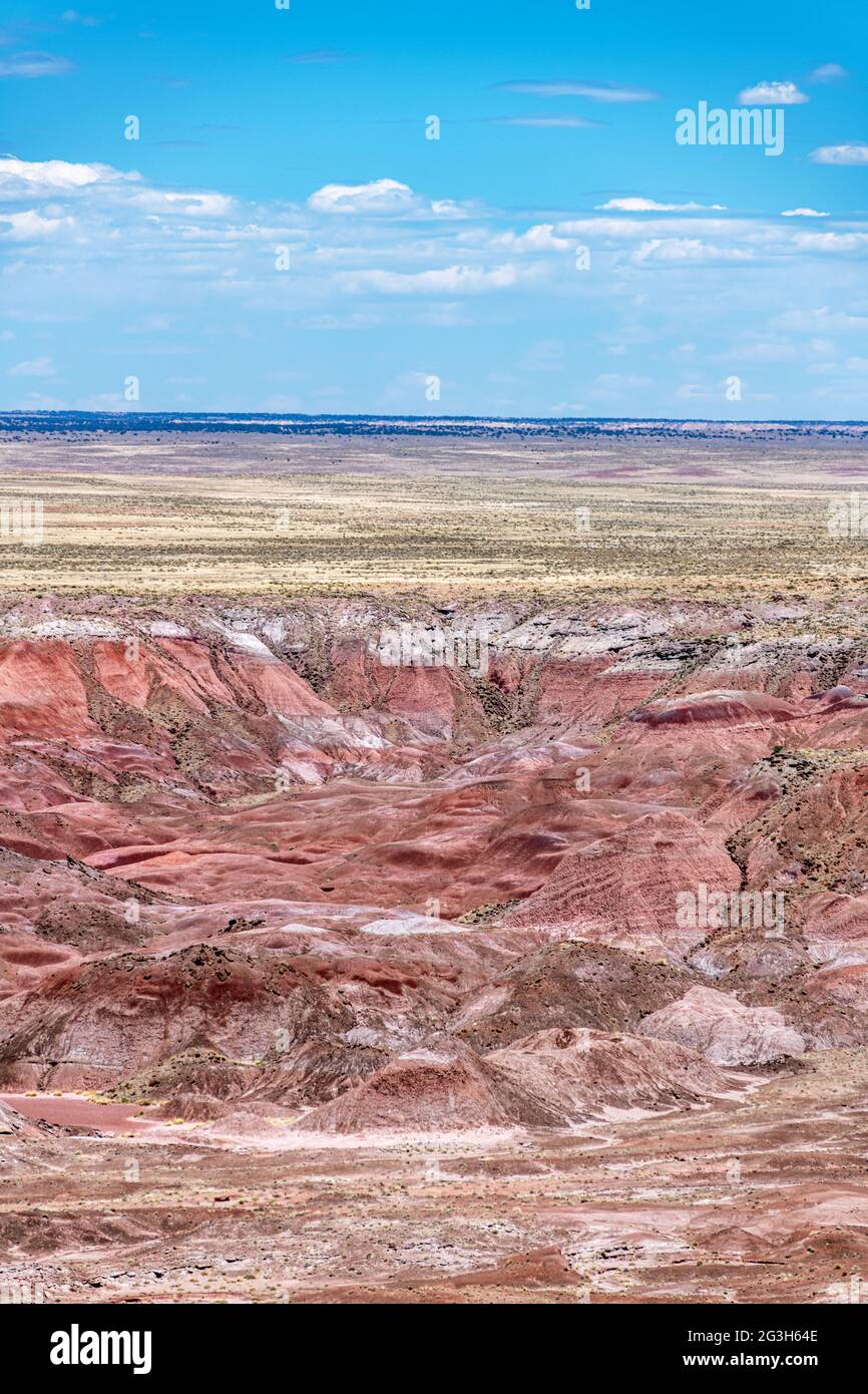 Vue panoramique sur les montagnes du parc national du désert peint montre la belle formation géologique, les motifs et les couleurs qui donnent à ce parc son nom. Banque D'Images