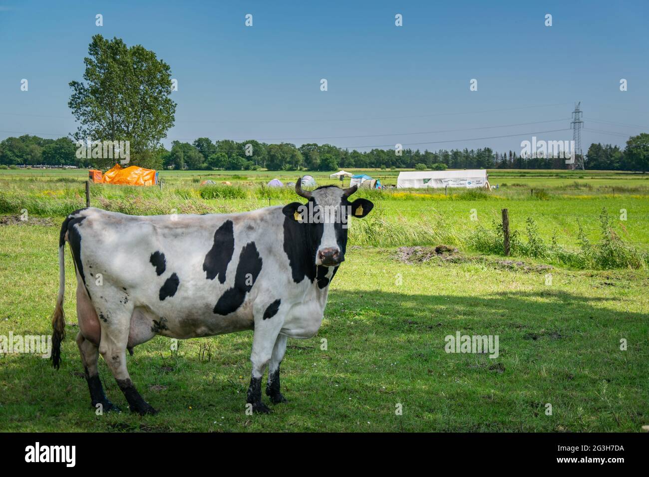 06.14.2021 Protescamp contre l'autoroute A20 appelée route côtière à côté de Westerstede dans le district Ammerland Basse-Saxe . Banque D'Images