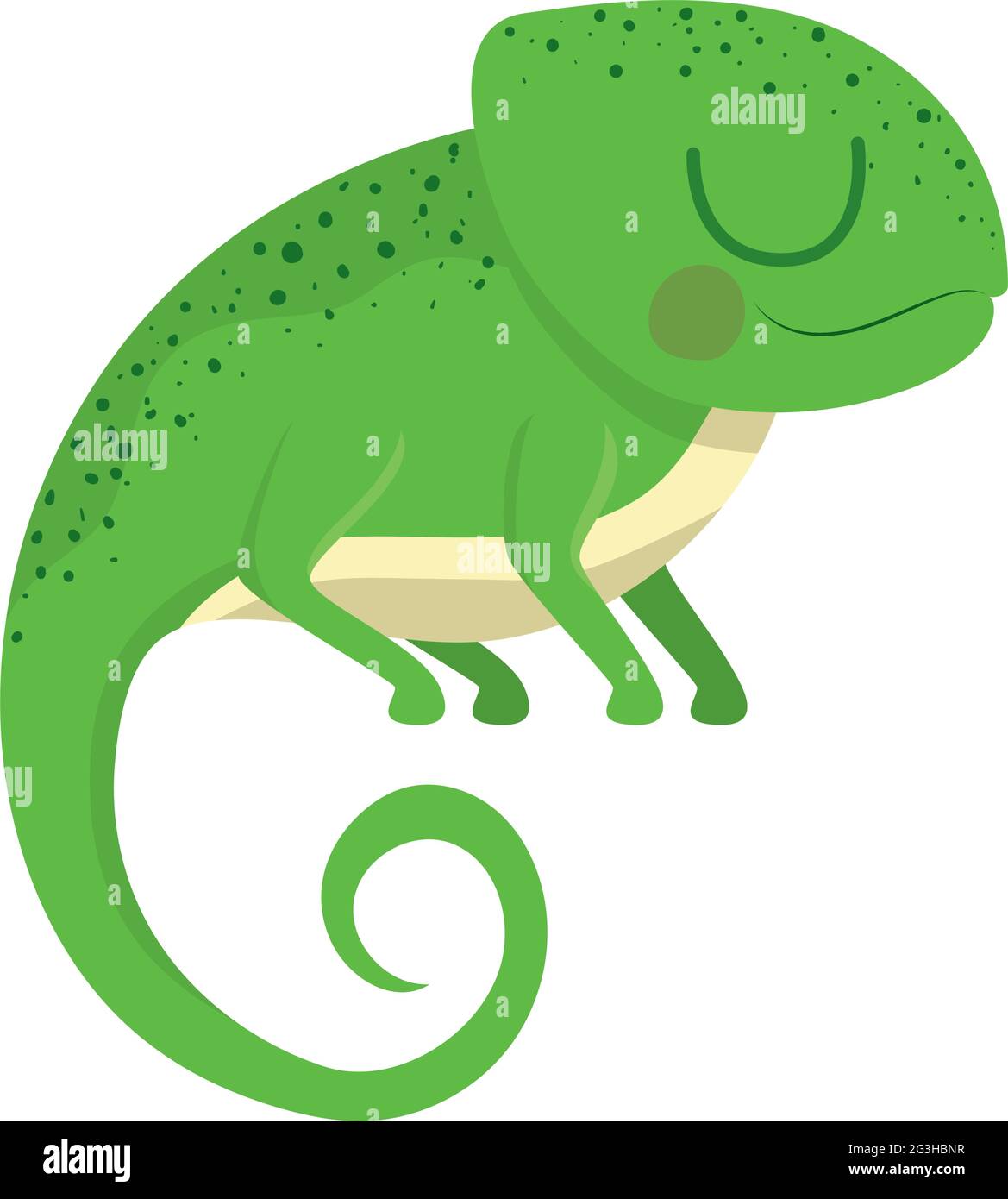 joli motif iguana Illustration de Vecteur