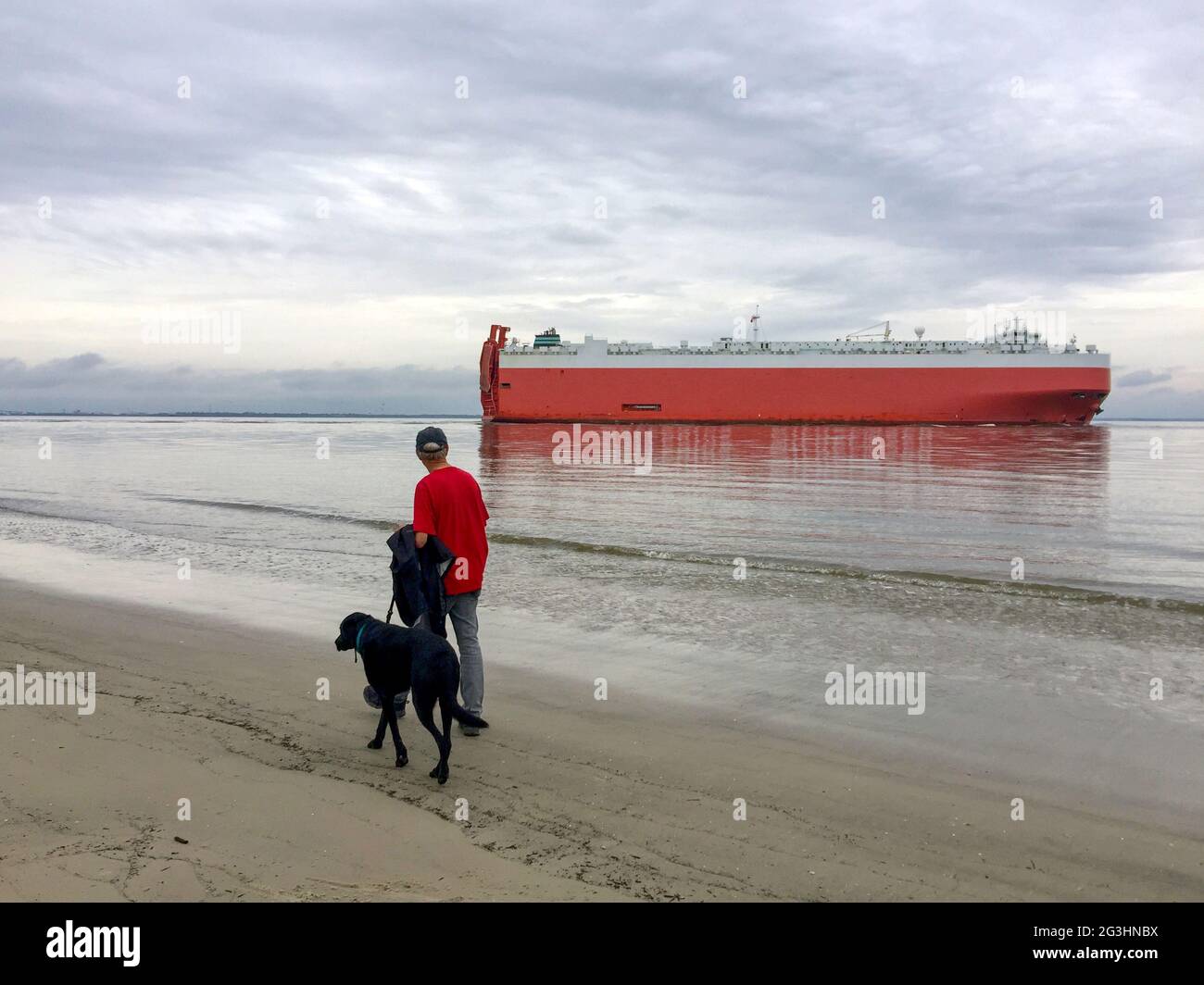 Un homme et un chien passent devant un énorme porte-bagages près de Brunswick, en Géorgie, le troisième plus grand port commercial de roro ou roll on roll off aux États-Unis. Banque D'Images