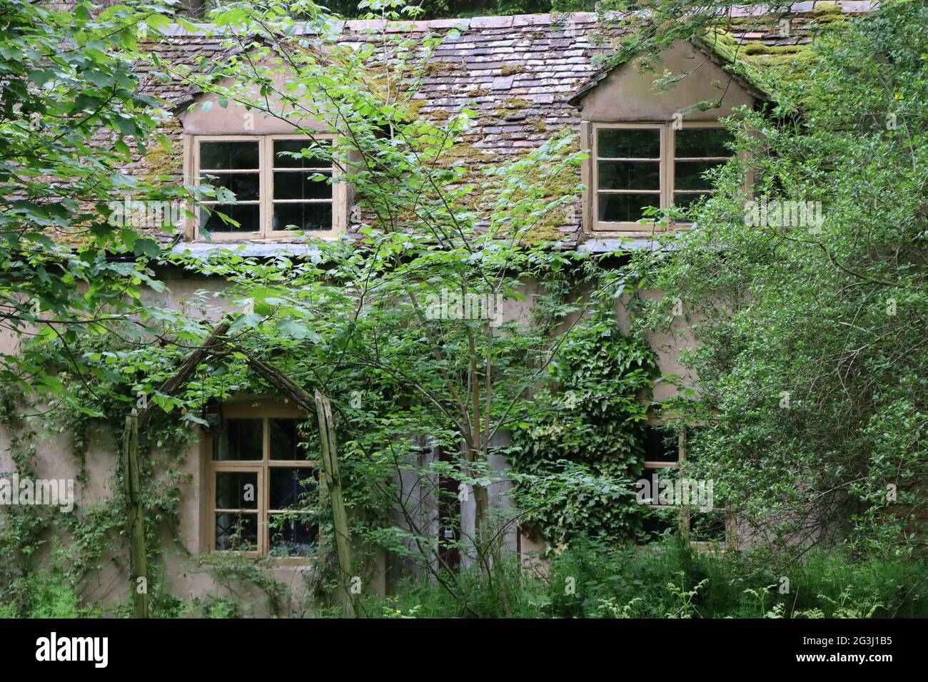 Cottage abandonné dans les bois Banque D'Images