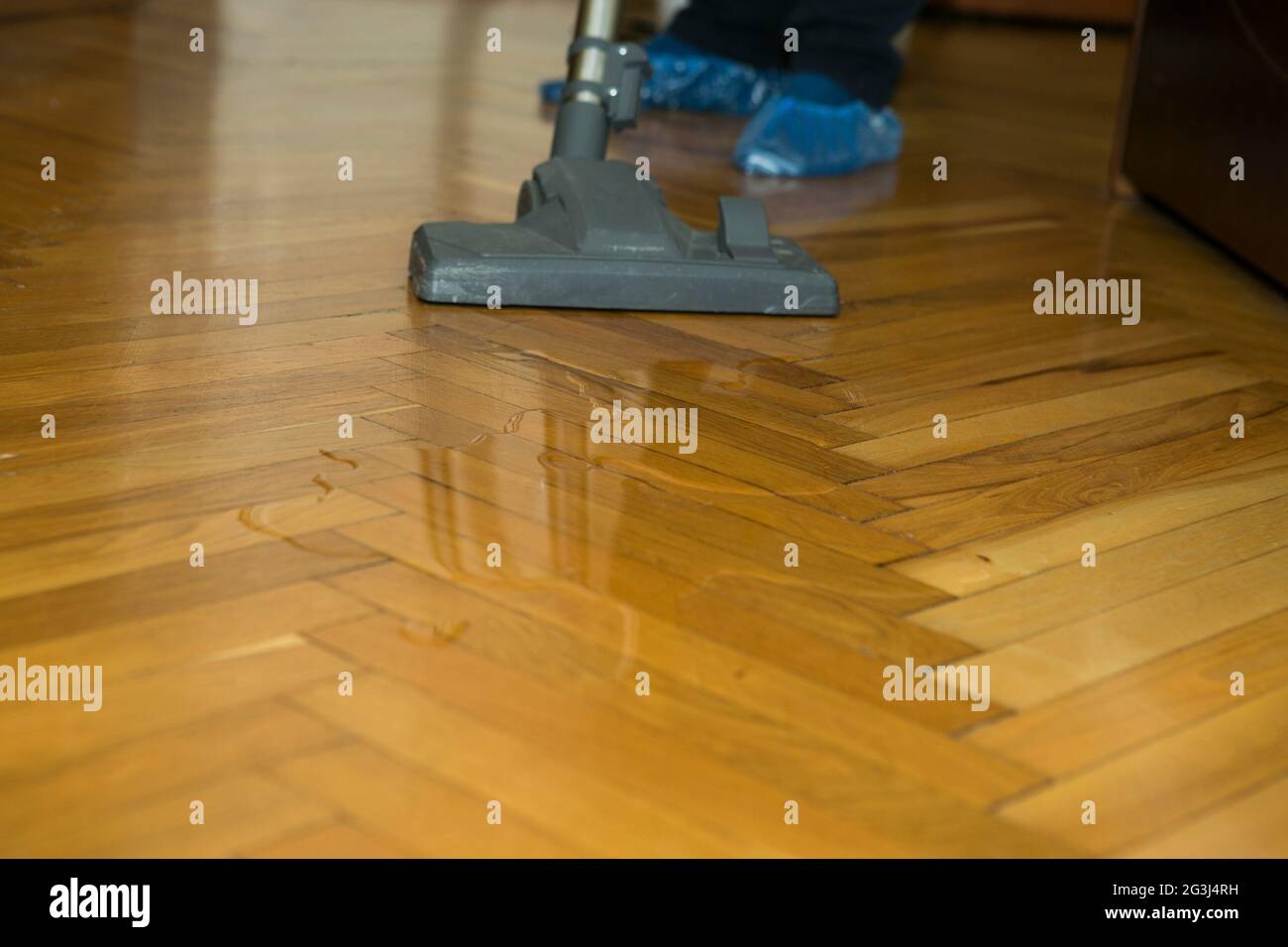 Un aspirateur sur un parquet en bois recueille l'eau renversée - une brosse et un aspirateur en gros plan. Nettoyage à l'eau du parquet avec un vacu noir moderne Banque D'Images