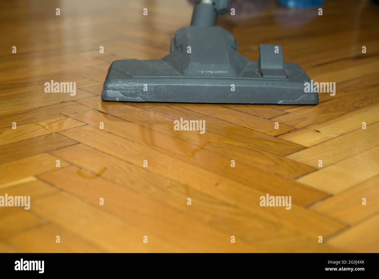 Un aspirateur sur un parquet en bois recueille l'eau renversée - une brosse et un aspirateur en gros plan. Nettoyage à l'eau du parquet avec un vacu noir moderne Banque D'Images
