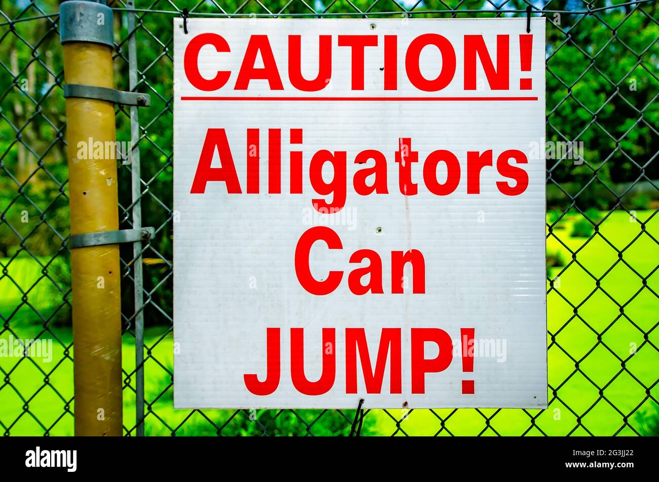 Un panneau avertit les visiteurs que les alligators peuvent sauter au Gulf Coast Gator Ranch, le 12 juin 2021, à Moss point, Mississippi. Banque D'Images