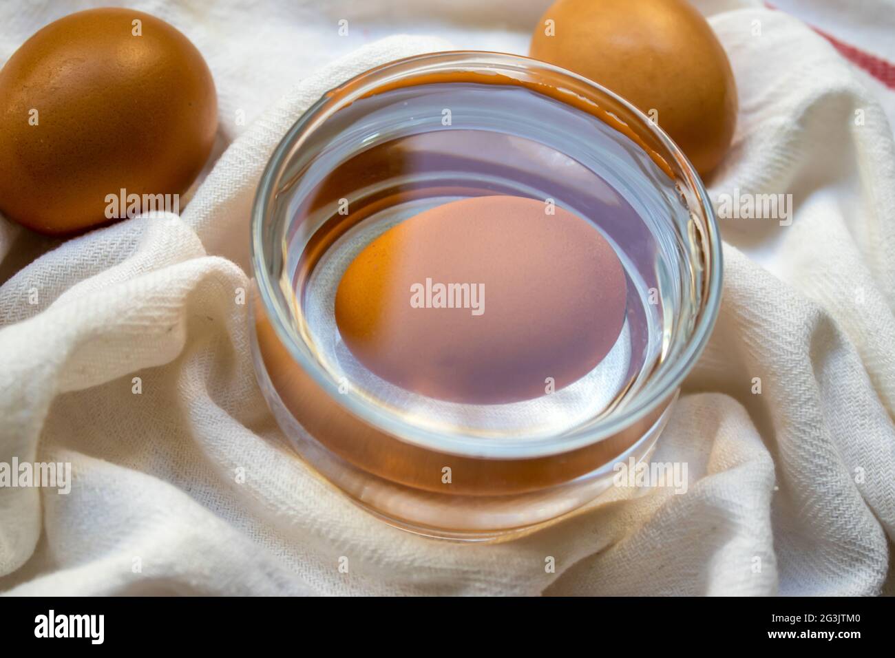 Test de fraîcheur et d'œuf dans l'eau Photo Stock - Alamy