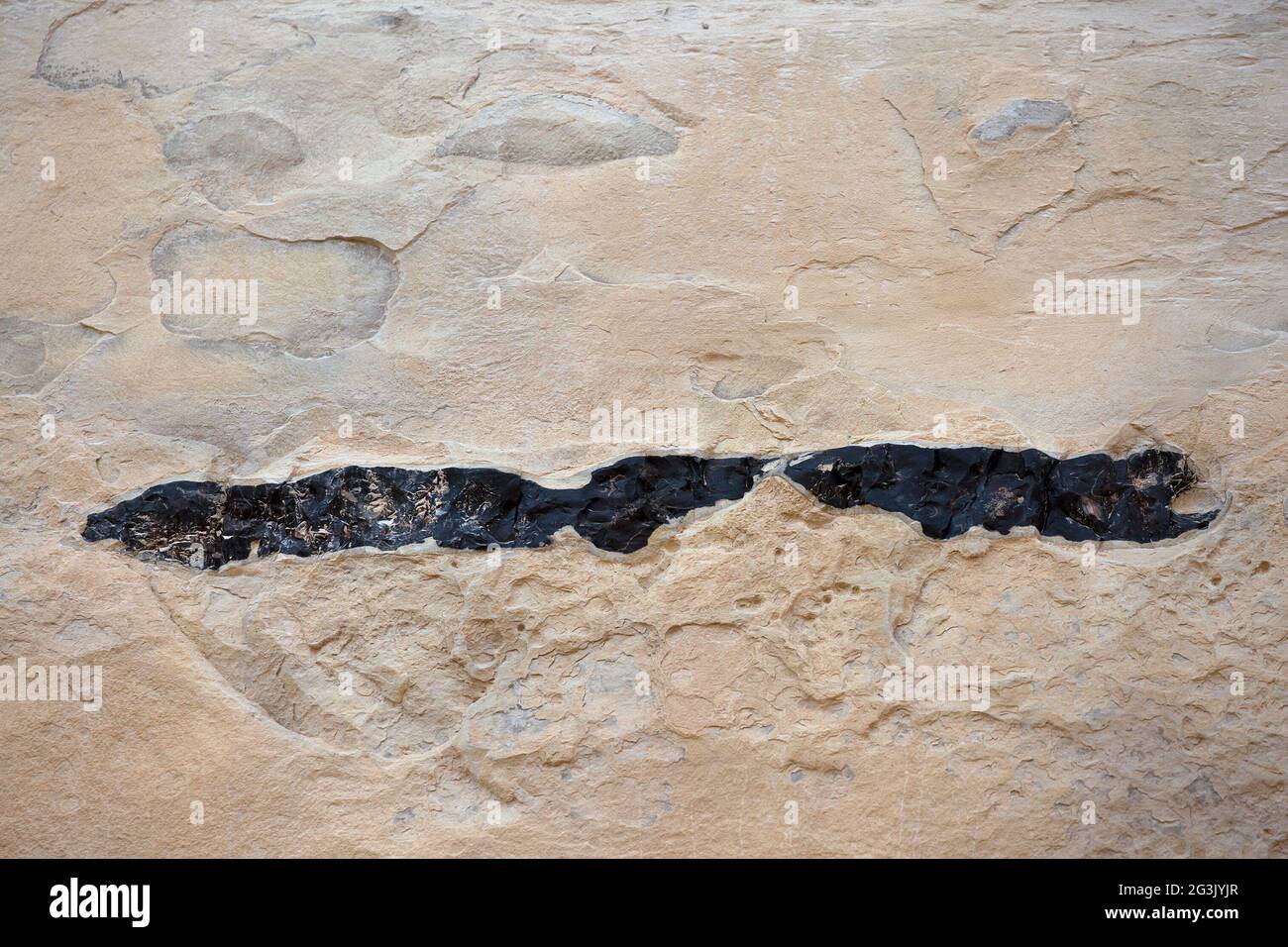 Couche de roche de Flint dans le calcaire d'Eocène sur le mur du canyon de Tsin dans le parc national d'Avdat, Israël Banque D'Images